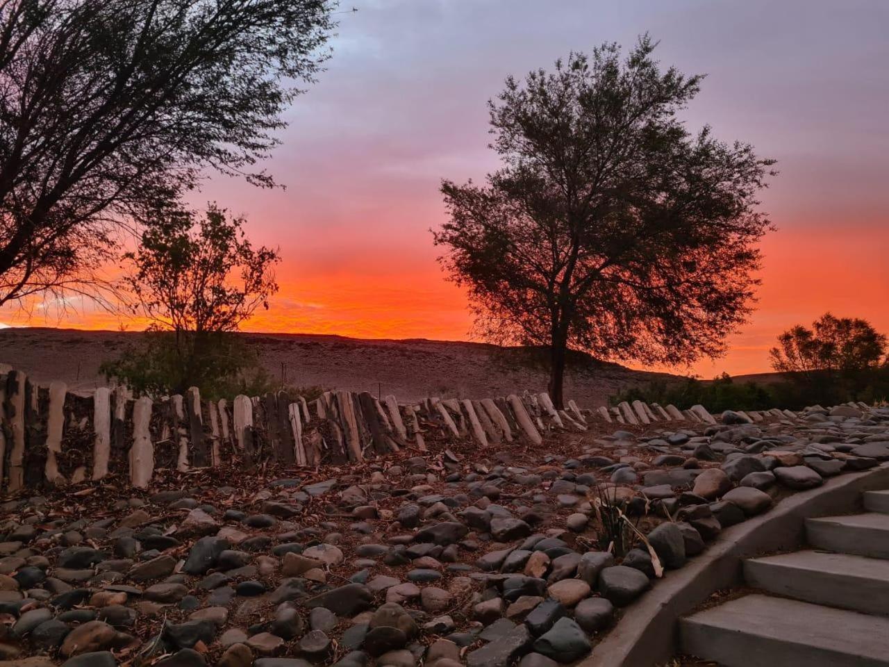 Vioolsdrift Kwelanga River Lodge מראה חיצוני תמונה
