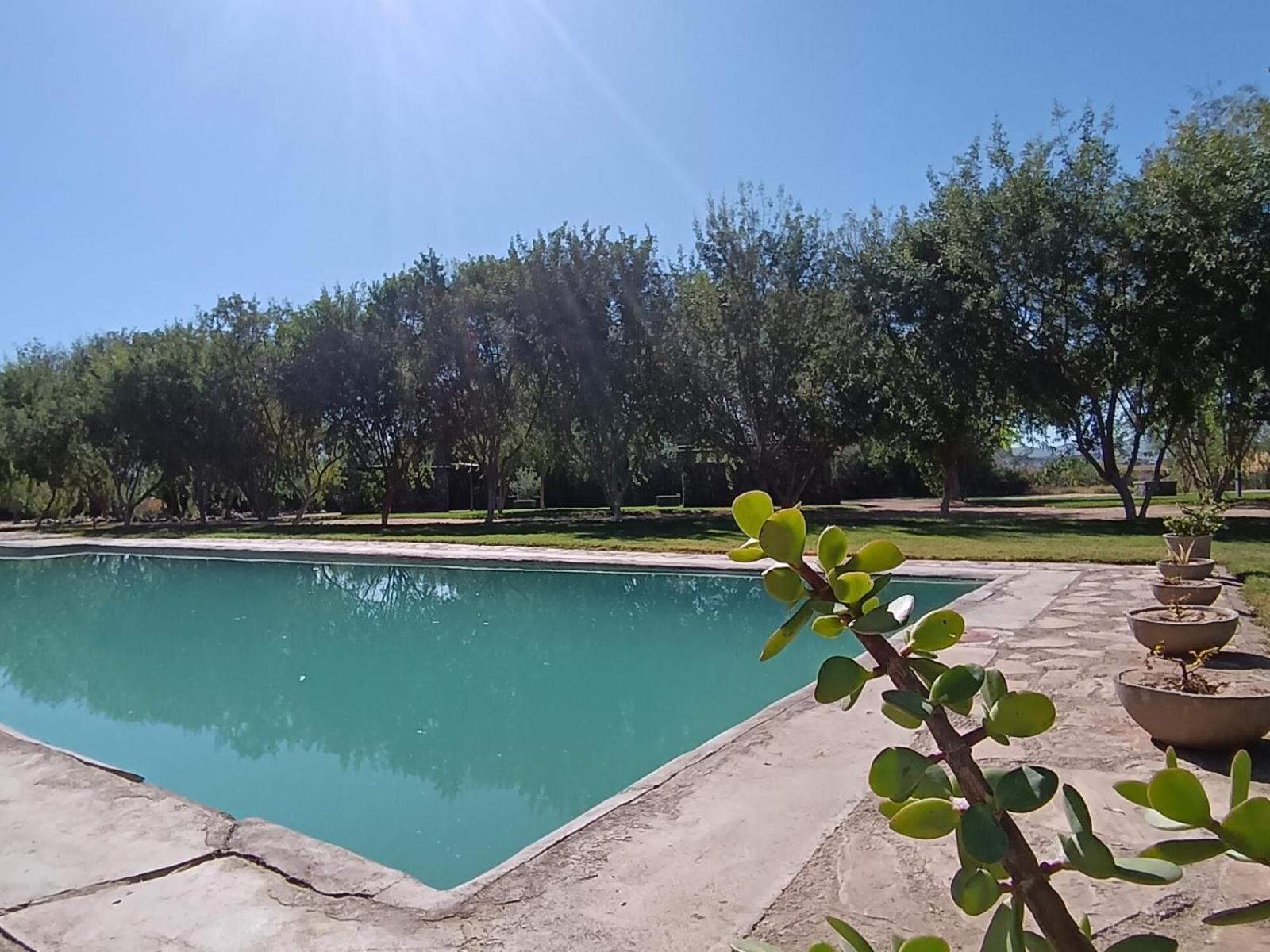 Vioolsdrift Kwelanga River Lodge מראה חיצוני תמונה